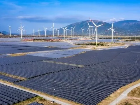 Bị ngừng mua điện đột ngột, Trung Nam kêu cứu Chính phủ