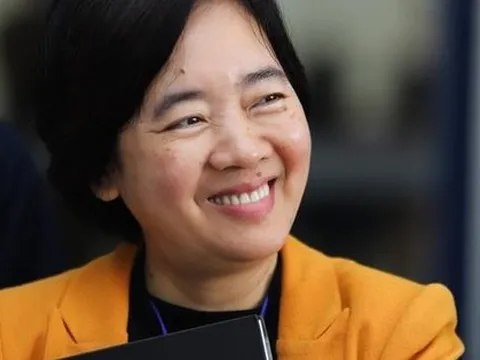 Bà Đàm Bích Thủy từ nhiệm chức Chủ tịch Đại học Fulbright Việt Nam