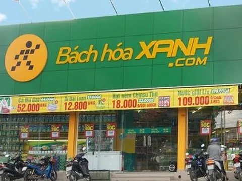 Sắp bán cổ phần, Bách Hoá Xanh được BVSC ước tính lỗ gần 2.000 tỷ trong 6T2022