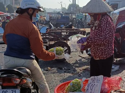 Trái cây Trung Quốc ồ ạt đổ về chợ đầu mối, giá rẻ không ngờ