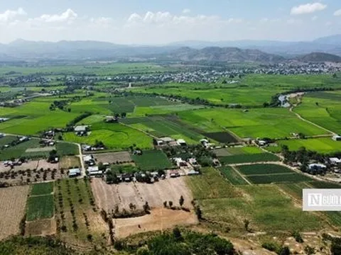 Về vương quốc gỗ hóa thạch trên cao nguyên