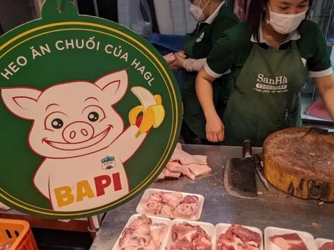 Doanh thu chăn nuôi vượt trái cây trong tháng 8, Hoàng Anh Gia Lai đều đặn duy trì mức lãi 4 tỷ đồng/ngày