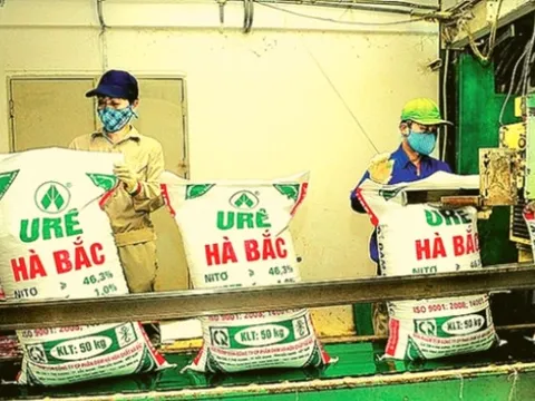 Lãi lớn sau khi chuỗi ngày thua lỗ, tương lai nào cho Đạm Hà Bắc?