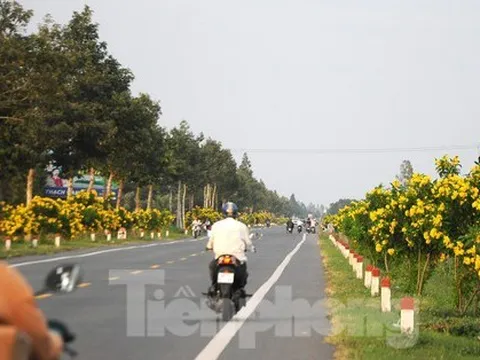 3.888 tỷ đồng mở rộng quốc lộ nối Cần Thơ - Hậu Giang
