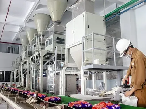 Lập kỷ lục doanh thu và lãi vào quý 2, triển vọng kinh doanh của Hoá chất Đức Giang sẽ ra sao khi giá phốt pho đã giảm 15%?