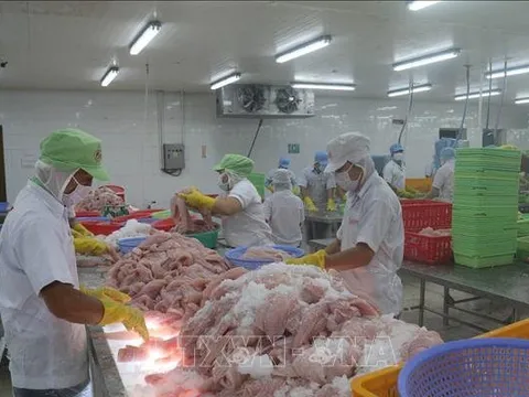 Tận dụng lợi thế để gia tăng xuất khẩu sang thị trường Canada