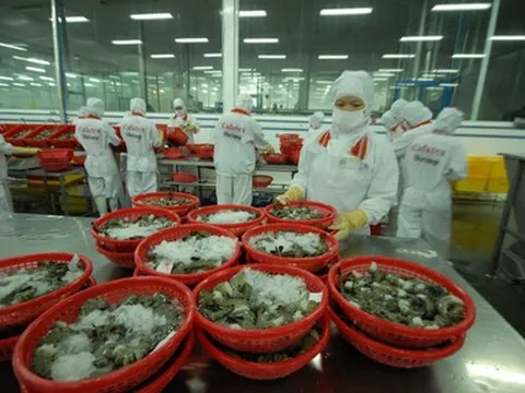 Xuất khẩu thủy sản tăng và bài toán giữ vững vị thế