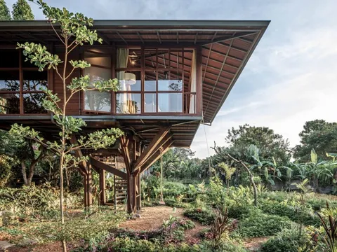 Ngôi nhà gỗ hình cái cây độc đáo ở Bali