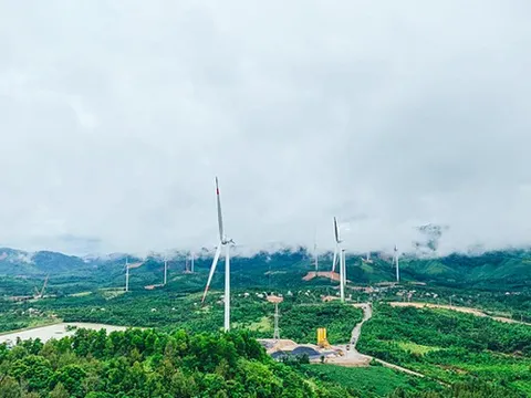 Các công ty thuộc mảng năng lượng tái tạo của Gelex kinh doanh như thế nào?