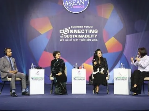 DN Việt Nam phát triển bền vững: Khẩn thiết để đón đầu một lượng vốn ngoại khổng lồ đang chờ sẵn