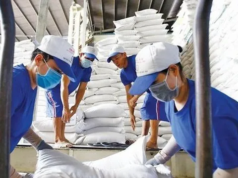 Lý do gạo xuất khẩu của Việt Nam bất ngờ tăng giá