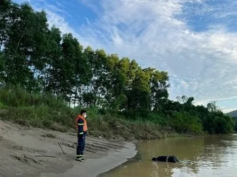 Nghệ An: Tìm thấy thi thể nam sinh lớp 11 nhảy cầu tự tử