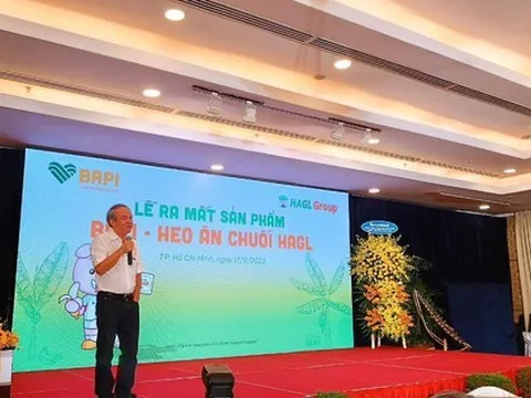 Bầu Đức: "Chúc mừng Hoàng Anh Gia Lai đã thoát nạn!"