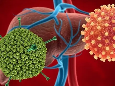 Adenovirus bị nghi liên quan tới 'viêm gan bí ẩn' có nguy cơ bùng phát thành dịch