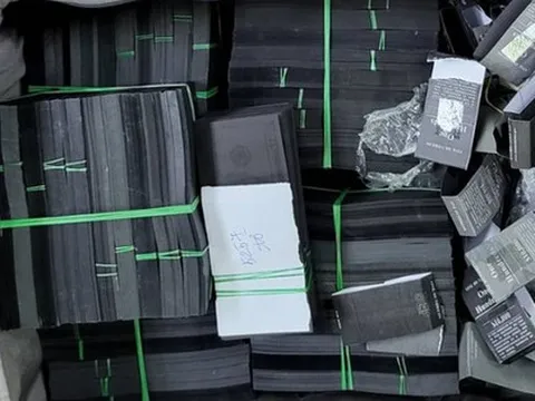 Điều tra nghi án vận chuyển trái phép 1 triệu USD qua sân bay Tân Sơn Nhất