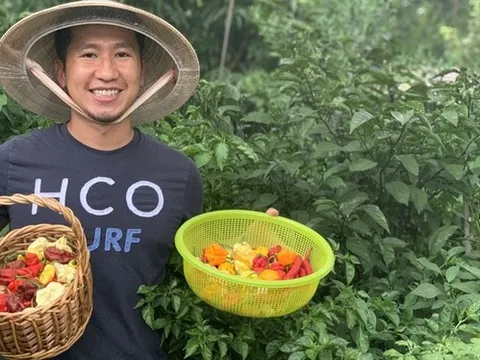 Người Việt tự lai tạo 2.000 giống ớt trên mảnh vườn ở Mỹ