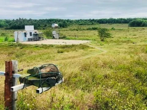 FLC xin tự nguyện hoàn trả hai dự án khu đô thị cho Quảng Ngãi