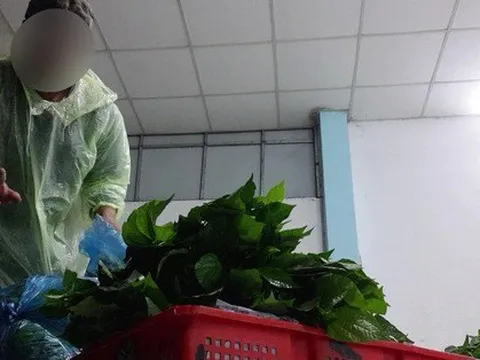 Tập đoàn Masan: Ngừng nhập và rút toàn bộ hàng hoá của nhà cung cấp Trình Nhi khỏi quầy kệ