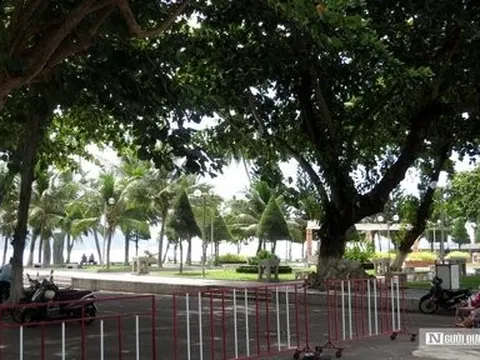 Khánh Hòa: Yêu cầu chấm dứt hoạt động các bãi giữ xe hết phép ở Tp.Nha Trang