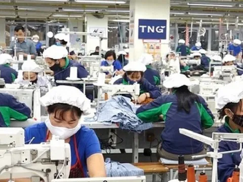 Dệt may TNG báo lãi tháng 8 gần 40 tỷ đồng, tăng 31%