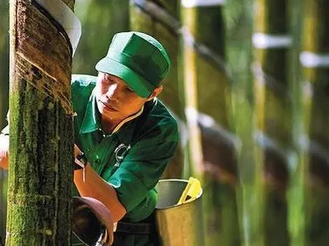 GVR ước đạt lợi nhuận hơn 4.400 tỷ đồng trong 9 tháng đầu năm 2022