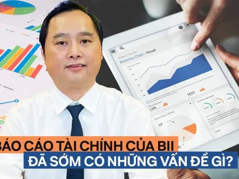 Sự việc thao túng giá cổ phiếu BII của ông Đỗ Thành Nhân: BCTC bộc lộ những rủi ro gì?