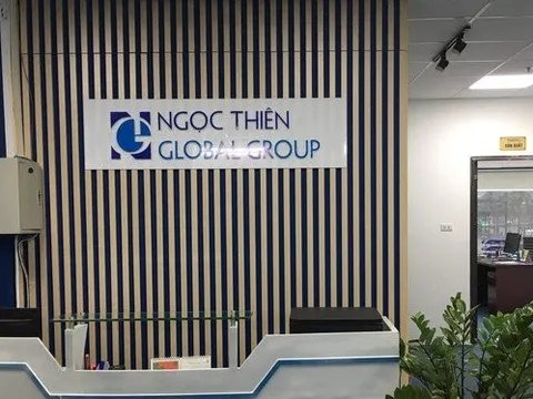 Doanh thu nửa tỷ USD, lợi nhuận Ngọc Thiên Global chỉ "bé hạt tiêu"