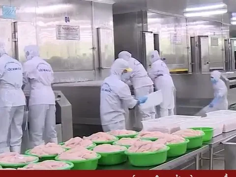 Xuất khẩu thuỷ sản 'lội ngược dòng' đón đơn hàng cuối năm