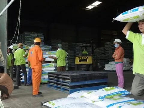 Giá thức ăn chăn nuôi chưa giảm