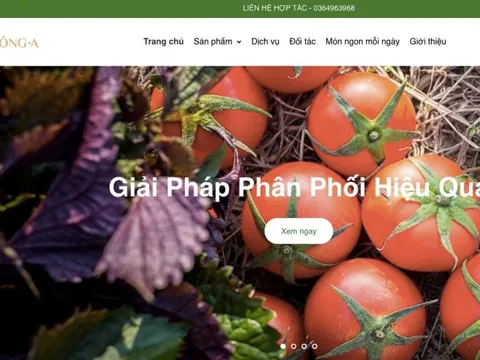 Bị nghi vấn gian dối khi "hô biến" rau từ nguồn Trung Quốc vào Bách Hóa Xanh, Công ty Đông A là ai?