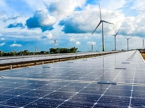 Trungnam Group muốn phát hành 500 triệu USD trái phiếu trong 3 năm tới