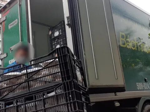 Bách Hoá Xanh thu hồi và ngưng bán toàn bộ hàng hoá của Đông A