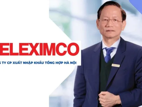 Geleximco trước khi làm ô tô: Hệ sinh thái đồ sộ từ BĐS, tài chính, Điện, giấy... đến nuôi lợn và trồng vải thiều