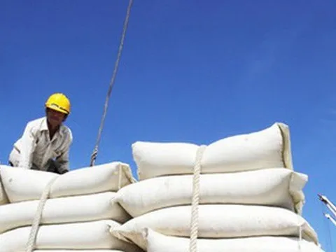 Thủ tướng yêu cầu nghiên cứu việc Ấn Độ cấm xuất khẩu gạo