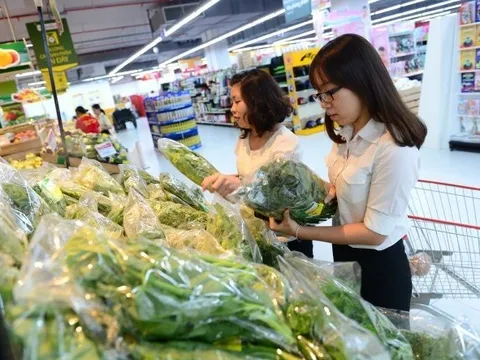 Yêu cầu rà soát, xử lý việc kinh doanh rau củ không nguồn gốc