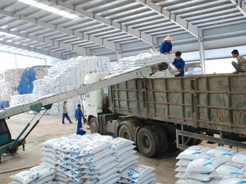 8 tháng đầu năm 2022, phân bón nhập khẩu giảm lượng, tăng giá
