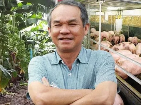 CTCK ra báo cáo phân tích về HAGL sau nhiều năm bỏ qua: Sự kết hợp "độc đáo" giữa heo và chuối?