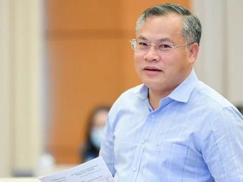 Đấu giá biển số ô tô đẹp: Biển Hà Nội, TP.HCM khởi điểm 40 triệu đồng