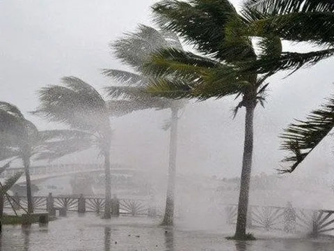 Đầu tuần tới, Biển Đông có thể đón bão