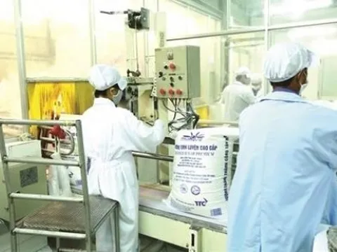 Đầu tư Thành Thành Công huy động vốn trái phiếu hàng trăm tỷ đồng