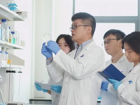 AI giúp rút ngắn quá trình phát triển thuốc mới từ nhiều năm xuống 1 tháng như thế nào?