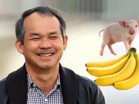 Thập kỷ làm nông nghiệp gian nan của bầu Đức: Xoay chuyển không ngừng, sau chuối - heo sẽ là gì?