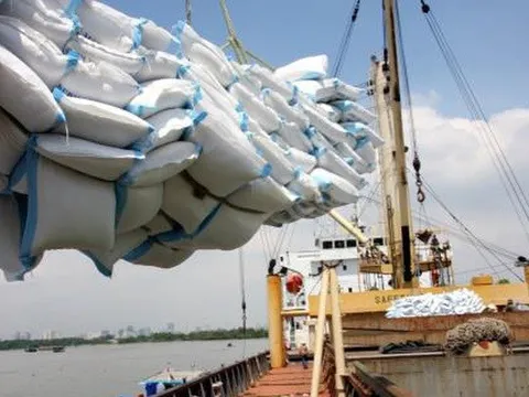 Giá xuất khẩu liên tục tăng: Cơ hội tăng trưởng mới cho gạo Việt Nam