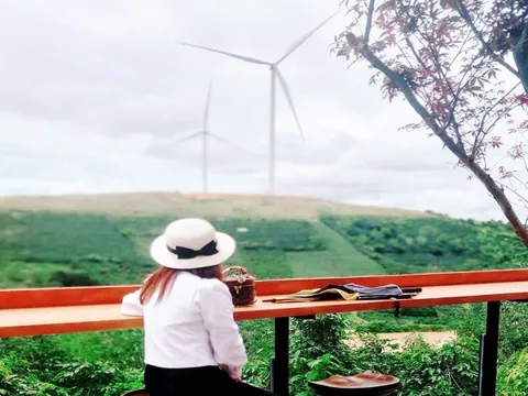 Phê duyệt 2 dự án điện gió, tổng vốn đầu tư hơn 4.400 tỉ đồng