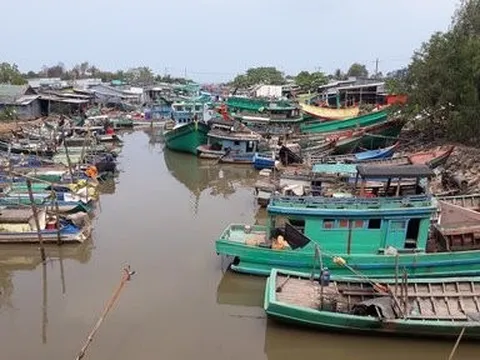 Cà Mau: 21 tàu cá rã xác, chìm không trục vớt bị xoá đăng ký