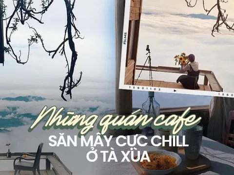 Ngẩn ngơ với 4 quán cà phê như "thiên đường săn mây" ở Tà Xùa
