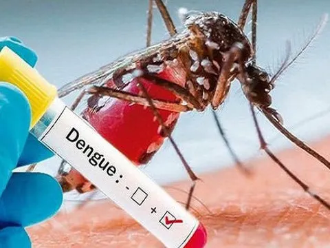 Hà Nội: 5 ca tử vong do sốt xuất huyết, số mắc tăng 1,8 lần so với số mắc trung bình 5 năm
