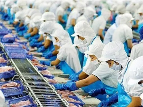 Rà soát tất cả thủy sản xuất sang châu Âu để gỡ 'thẻ vàng'