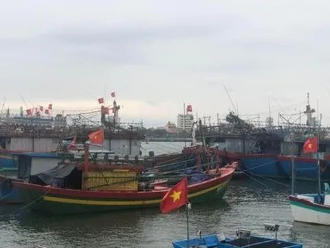 Quảng Bình: Khẩn trương ứng phó bão Noru