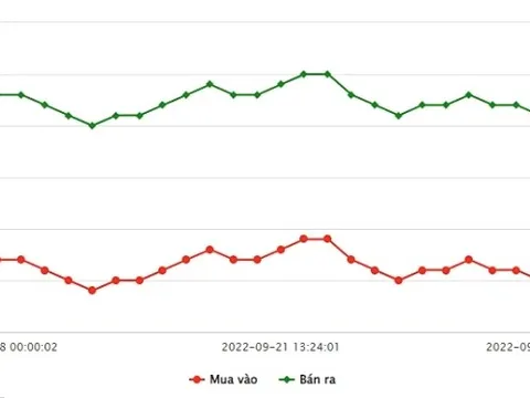 Giá vàng 25/9/2022: Giá vàng tuần qua giảm nhẹ